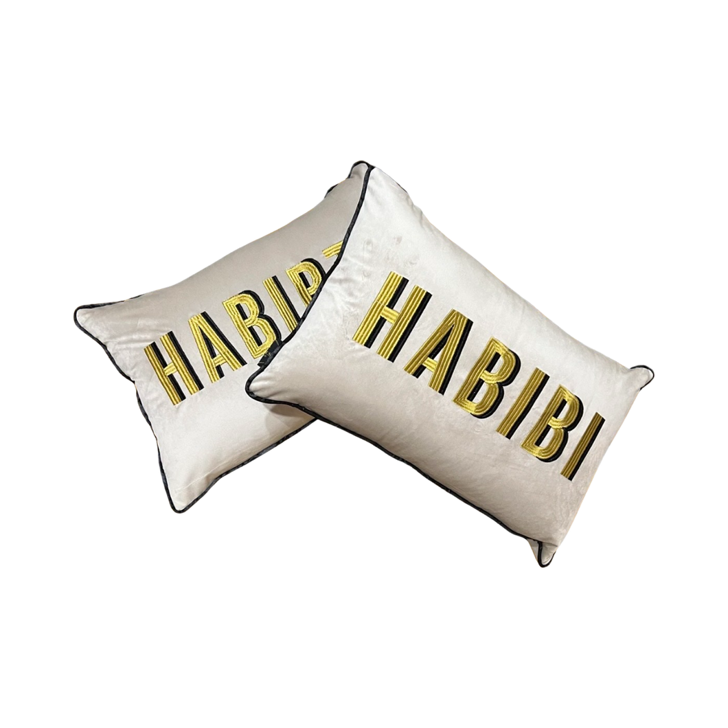Grey Velvet Embroidered Habibi-Habibti Cushions