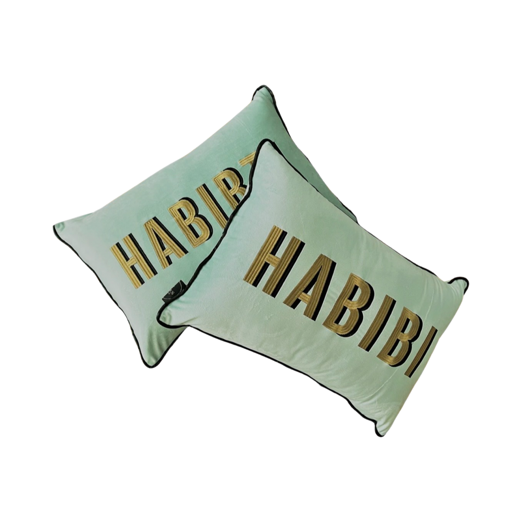 Icy Blue Habibi- Habibti Embroidered Cushions
